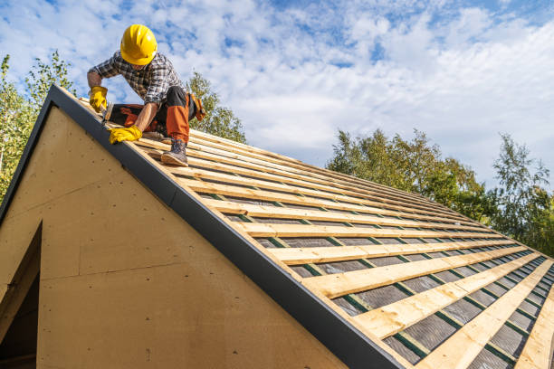 Best Roof Gutter Cleaning  in Marlow Heights, MD