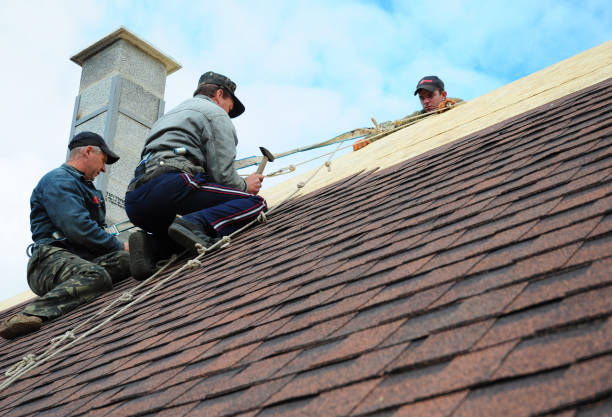 Best Metal Roofing Contractor  in Marlow Heights, MD